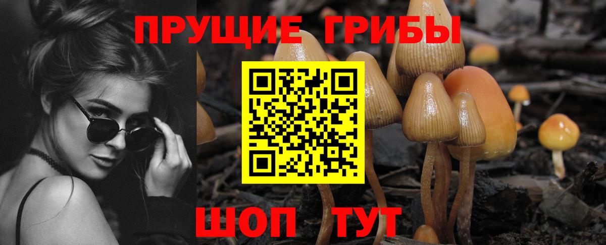 Галлюциногенные грибы мухоморы  Вход с VPN  Углич 